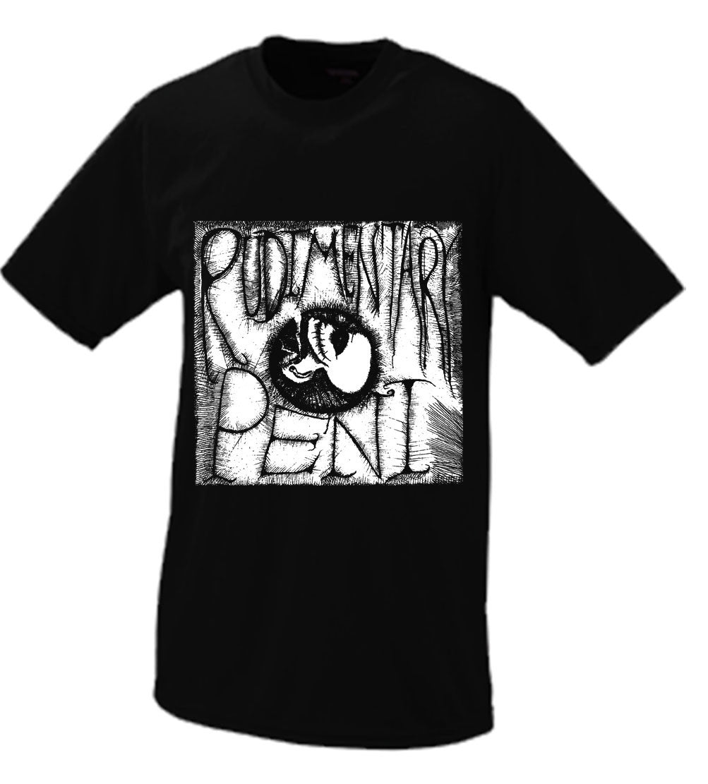 Rudimentary Pi 'E.P.S. #1”
